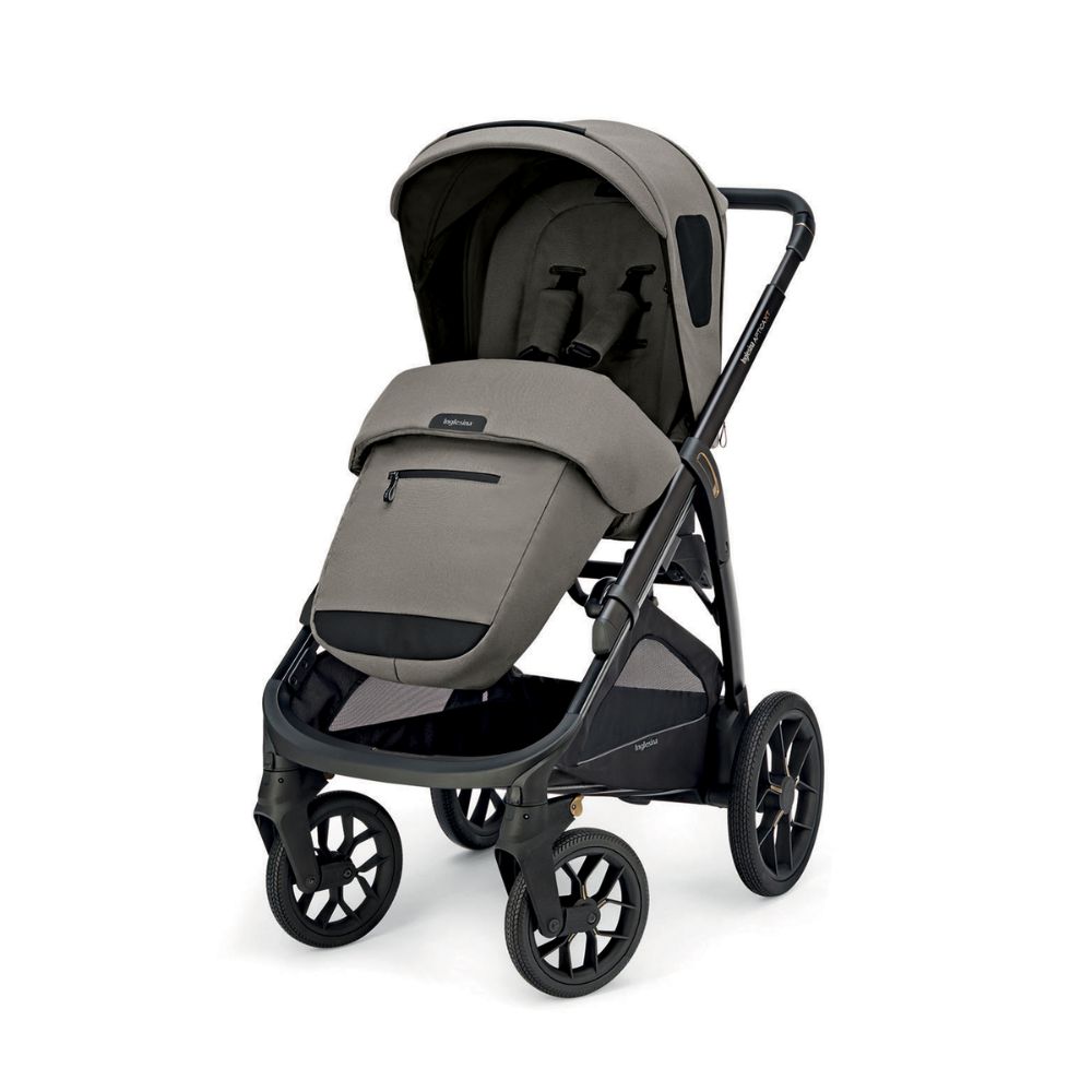 Inglesina Aptica XT Stroller